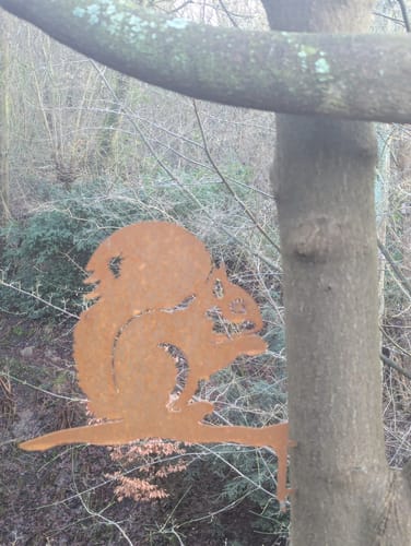 Customer photo review of Baumstecker Eichhörnchen