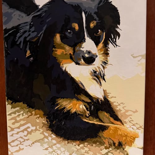 Customer photo review of Custom Pet Paint By Numbers