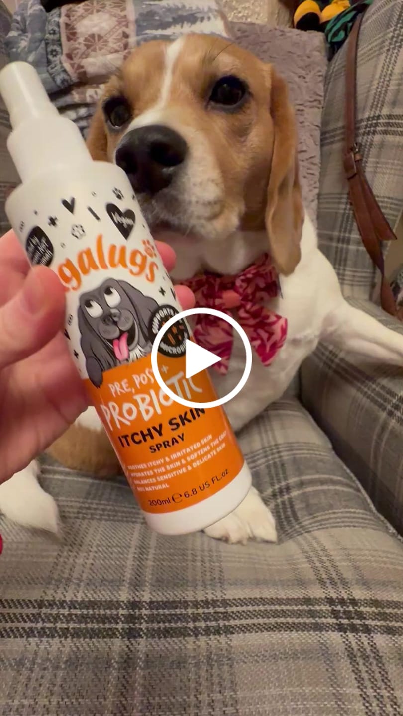 Customer video review of Pre, Post + Probiotic Itchy Skin Spray for Dogs