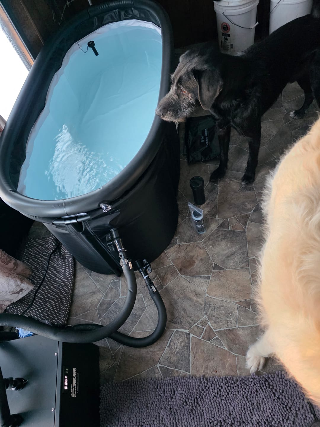 Customer photo review of The Long Pod