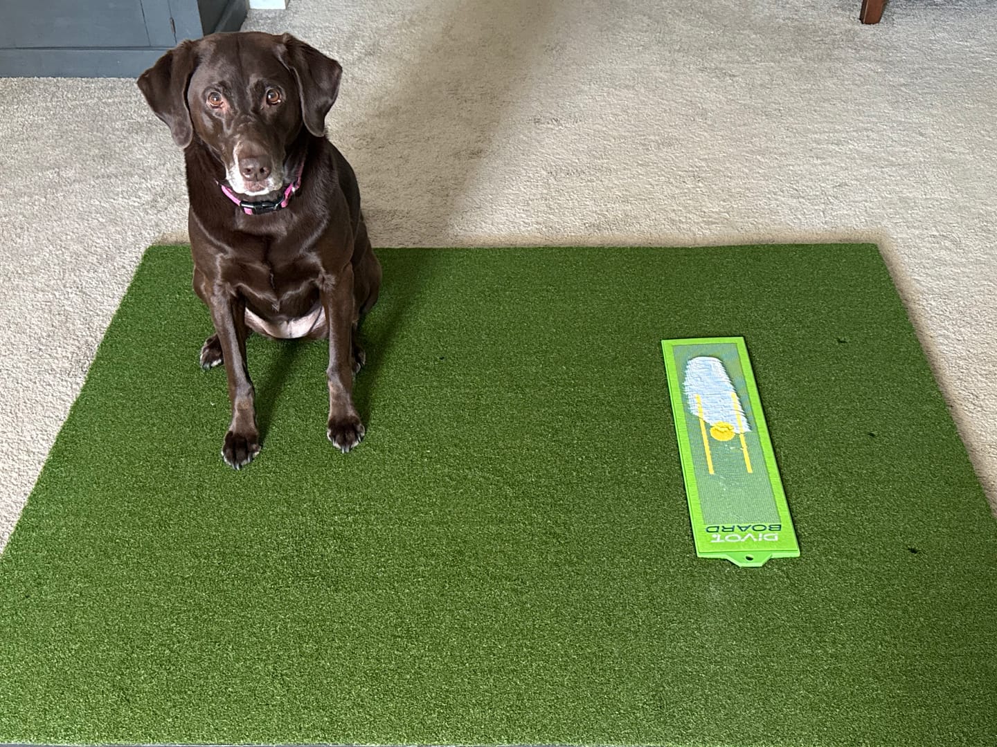 Customer photo review of Divot Board Turf Mat 4x5 - Bundle