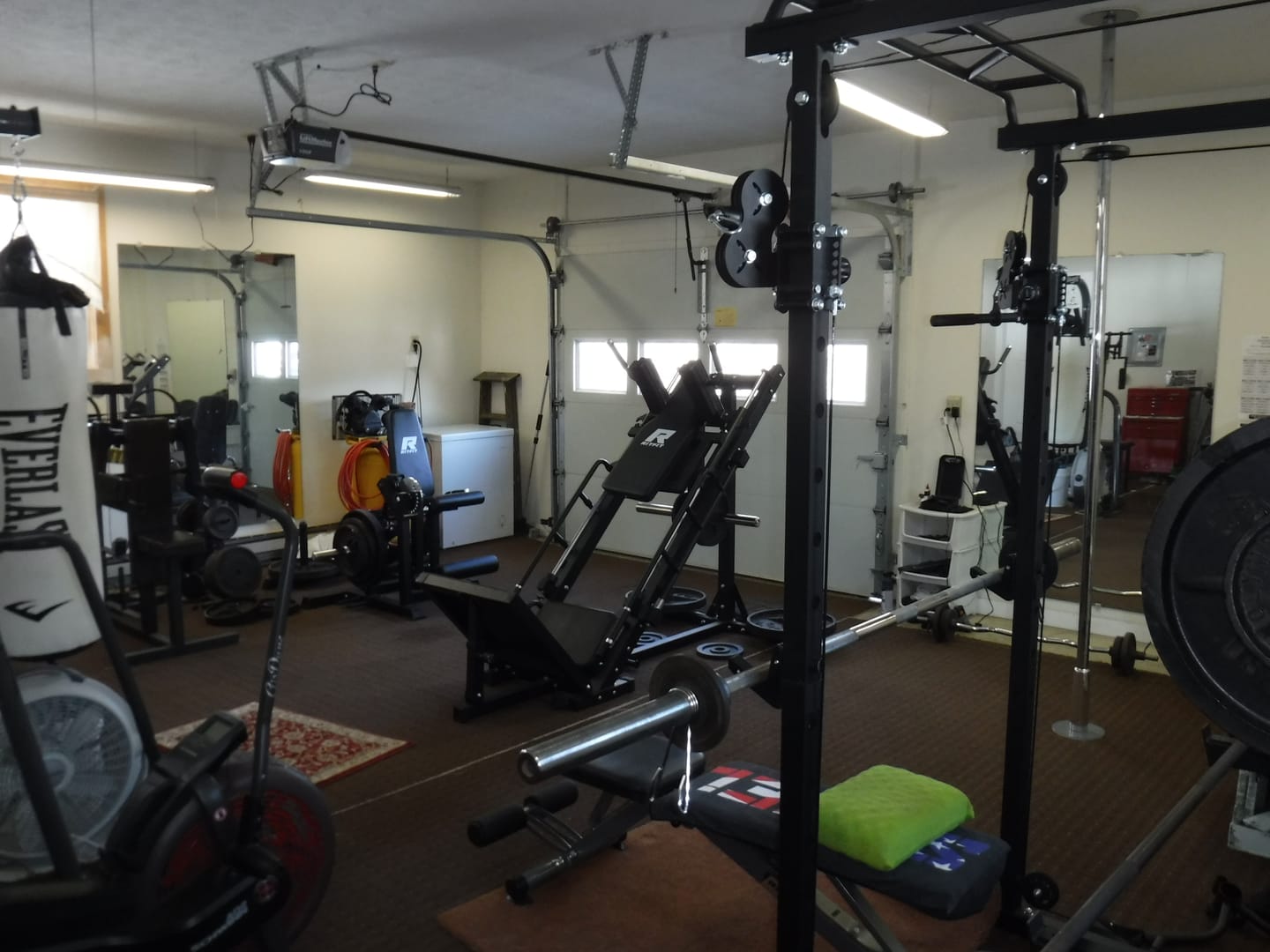 Customer photo review of RitFit PLC01 Leg Extension Curl Machine