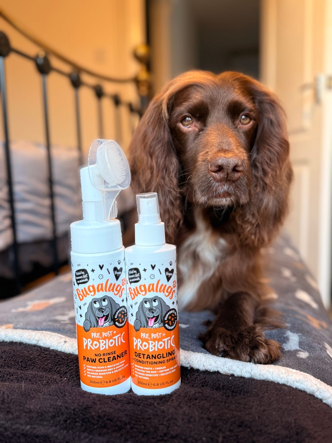 Customer photo review of Pre, Post + Probiotic No Rinse Paw Cleaner