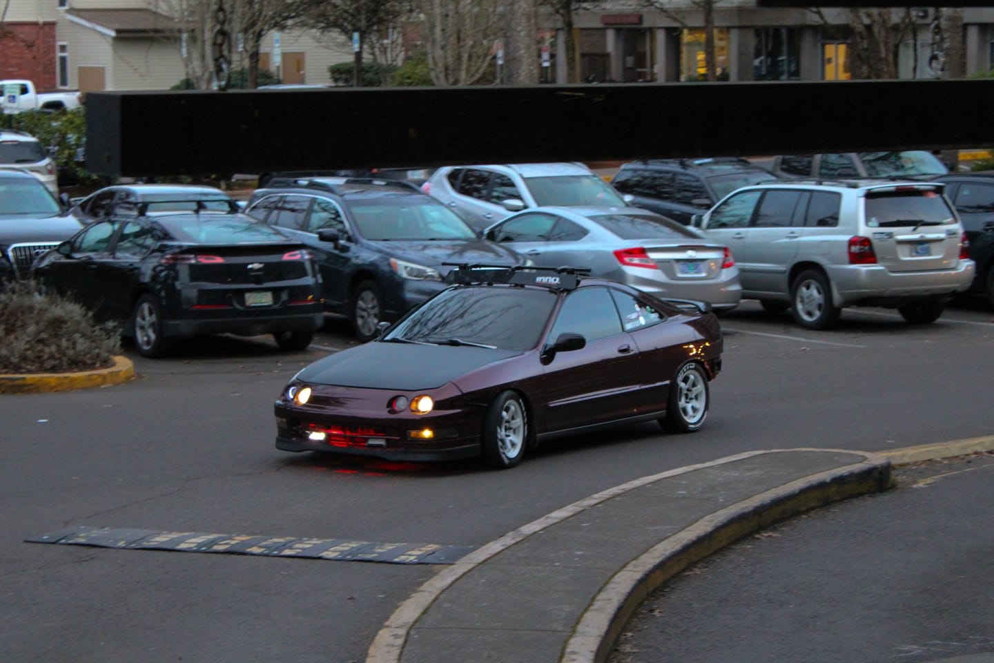 Customer photo review of Glossy Metallic Black Rose Vinyl Wrap