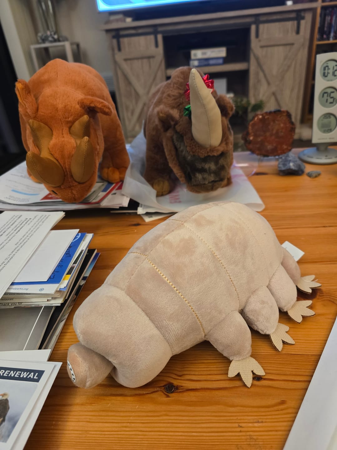 Customer photo review of Tardigrade Water Bear Soft Stuffed Plush Toy
