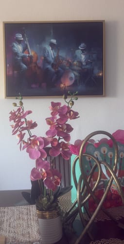 Customer photo review of Delta Echo