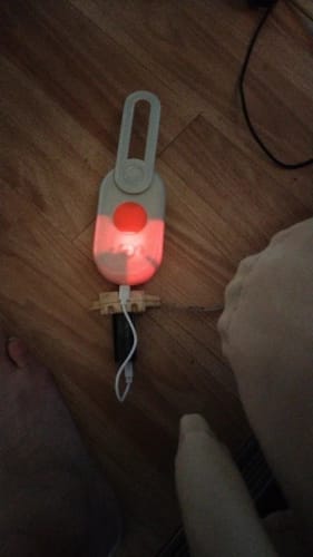 Customer photo review of A Gentle Way to Groom & Refresh Your Pet’s Coat
MistPaws™ Grooming Brush