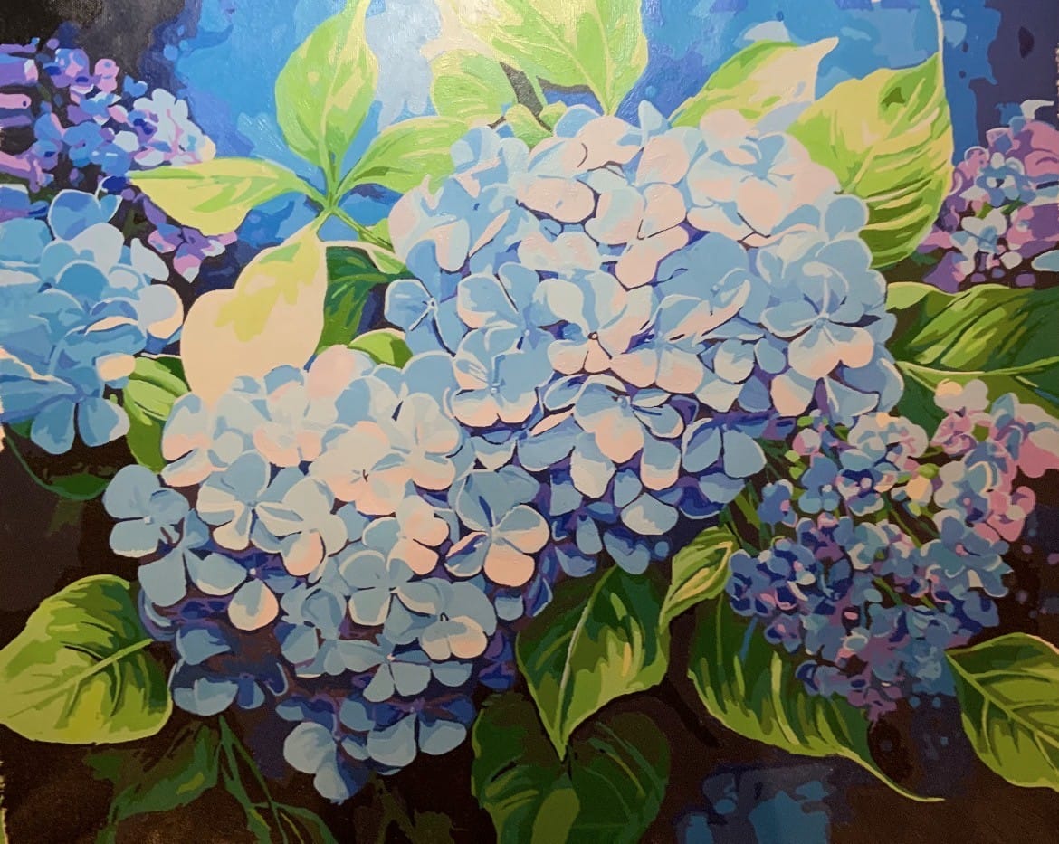 Customer photo review of Blue Hydrangea