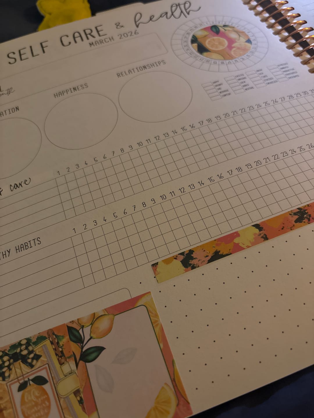 Customer photo review of NEW KIT FORMAT! Summer Lemons Lemonade Yellow Green Pink Planner Stickers Weekly Kit - 133 Stickers (#12,194)