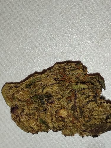 Customer photo review of Candy Runtz - Minis - 28 Grams - Hybrid