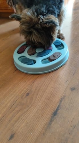 Customer photo review of Turn Mealtime Into a Fun & Healthy Challenge
SmartBite™ Slow Feeder Bowl