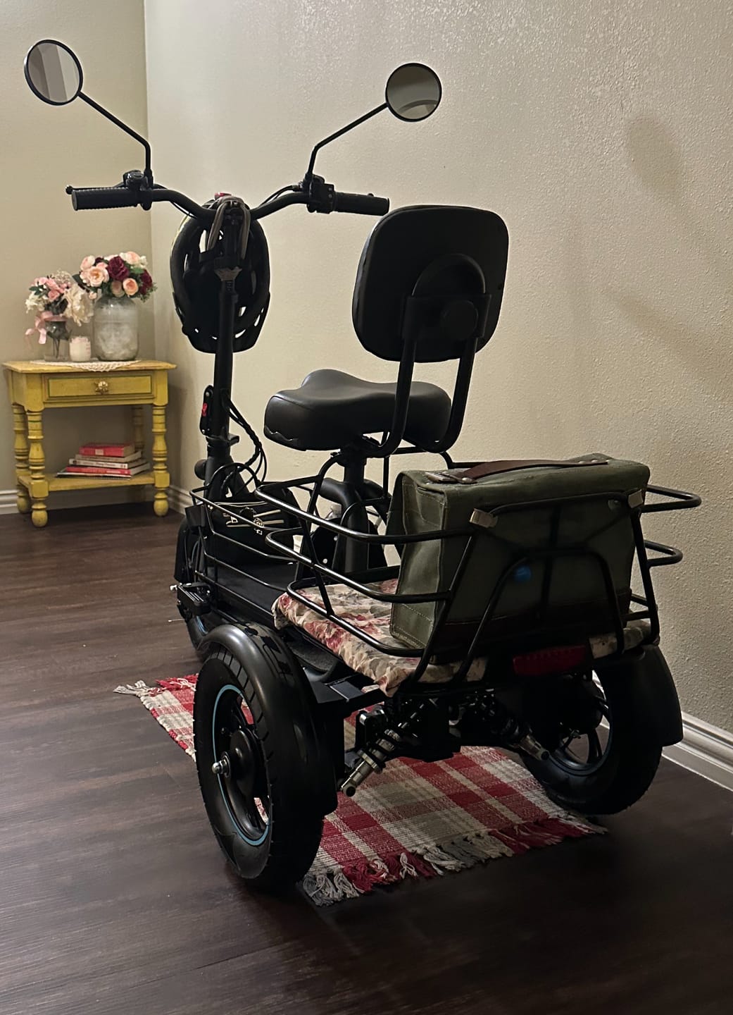 Customer photo review of Gyroor C5 Electric Trike with Removable Dual Baskets,1000W(Peak) & 30Miles
