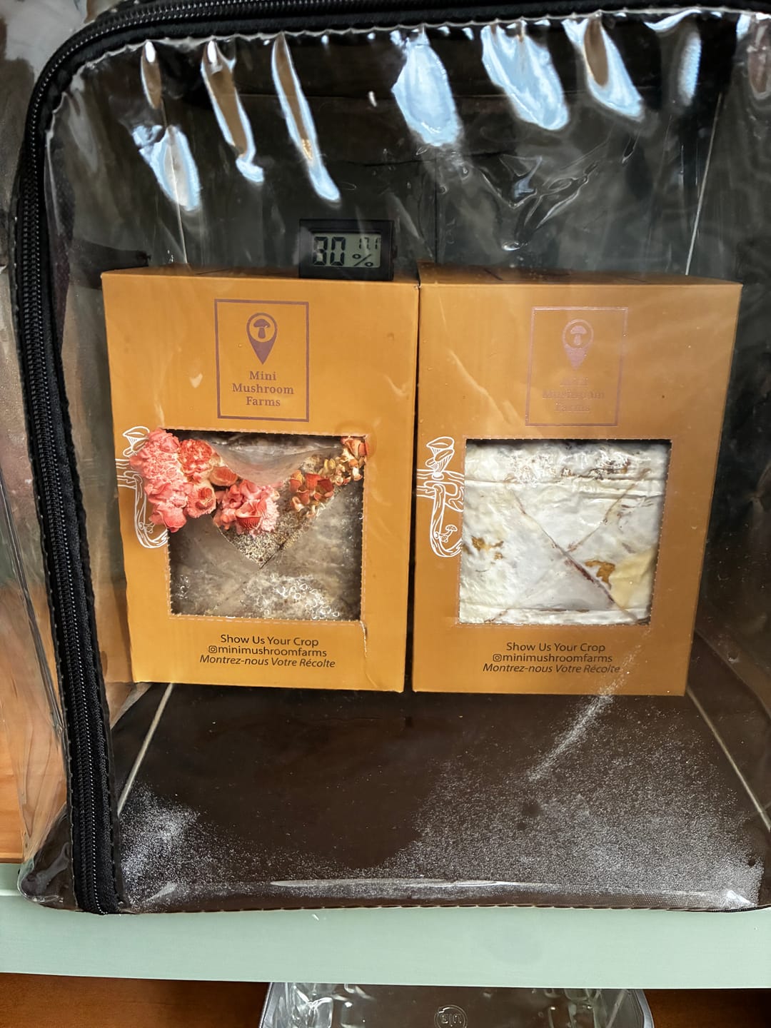 Customer photo review of Essentials Bundle Gift Set + Grow Kit