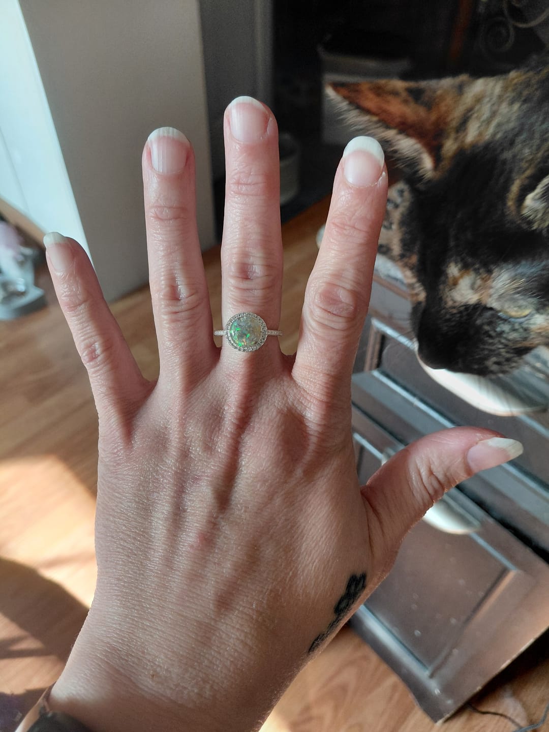 Customer photo review of Bedazzled Circle Opal Cremation Ring