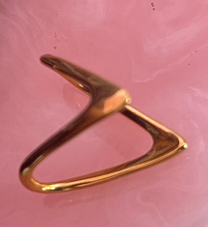 Customer photo review of Anillo Vera