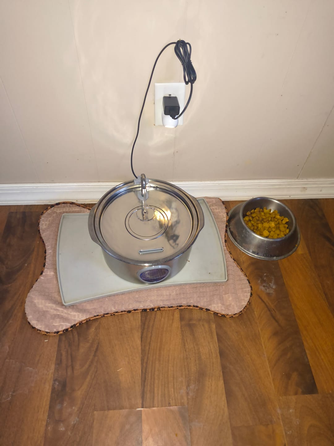 Customer photo review of Pawdrate™ Filtered Water Fountain