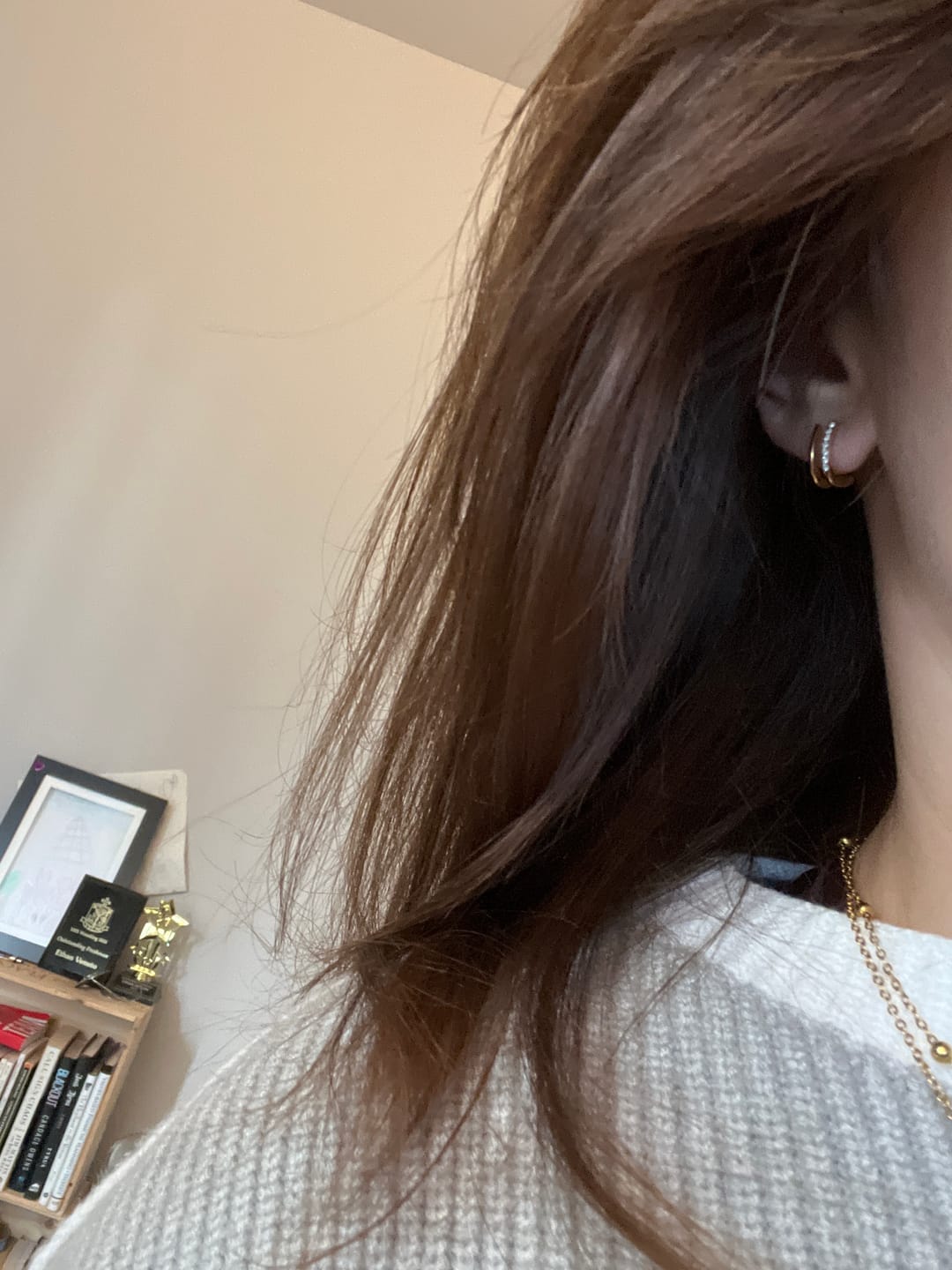 Customer photo review of 18K Gold & Crystal Claw Earrings