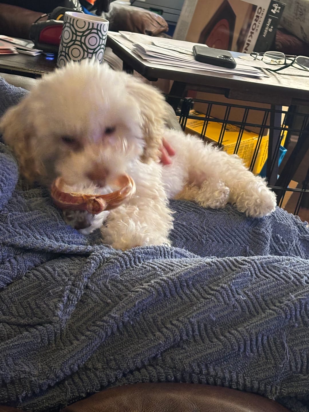 Customer photo review of Small Bully Stick Ring