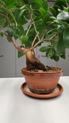 Customer photo review of NEO CB® (Tutte le stagioni)