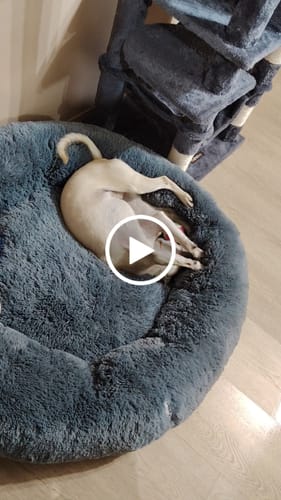 Customer video review of Cama Antiestrés para Perros