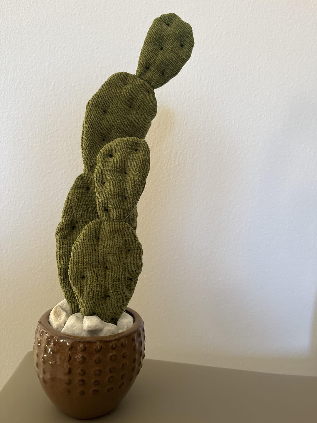 Customer photo review of Opuntia mini in cotone giallo/verde, completa di vaso in ceramica lucida verde con motivi