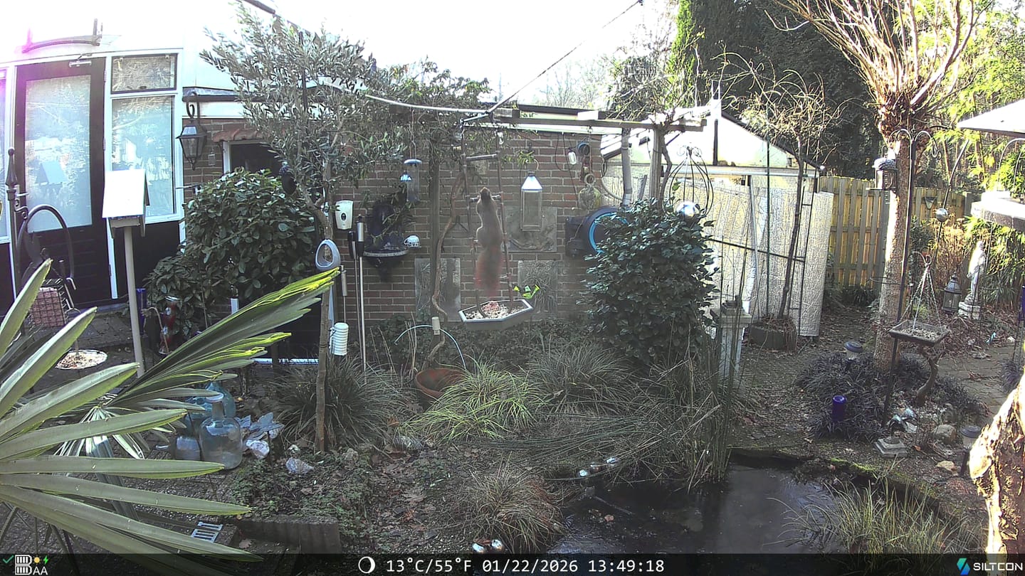 Customer photo review of Siltcon® Wildcamera met Zonnepaneel 8K