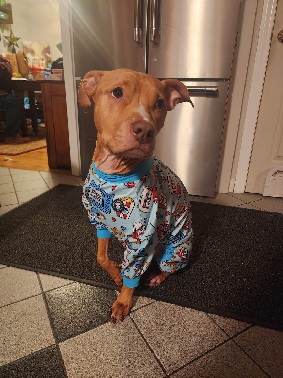 Customer photo review of Essential Human Hoodie - Slate Blue