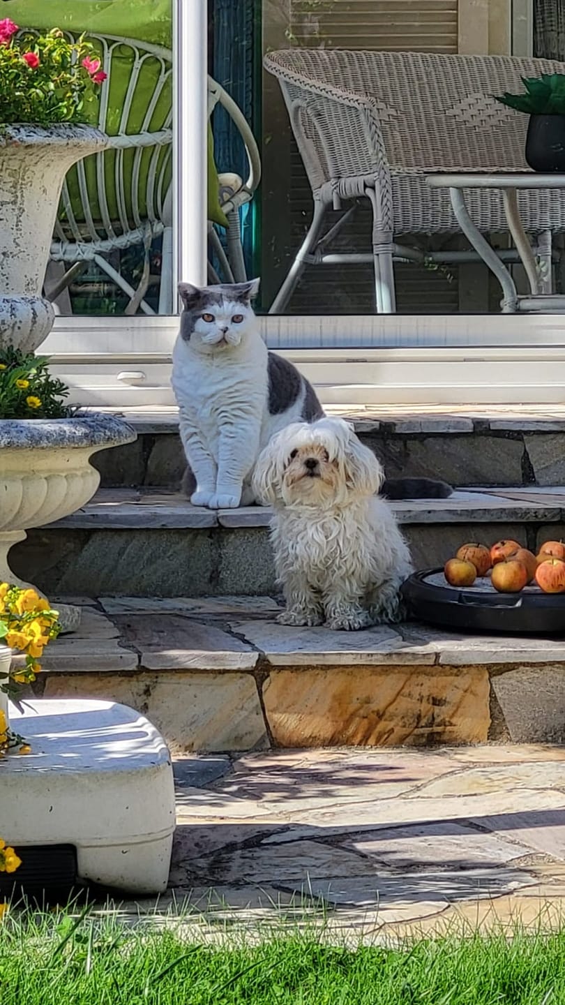 Customer photo review of Croquettes Poulet & Citrouille - Chien Petite Race