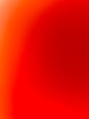 Customer photo review of 2023 CALIFORNIA DMV.CA.GOV LICENSE PLATE 6"x12" (156.5mm x 305mm)