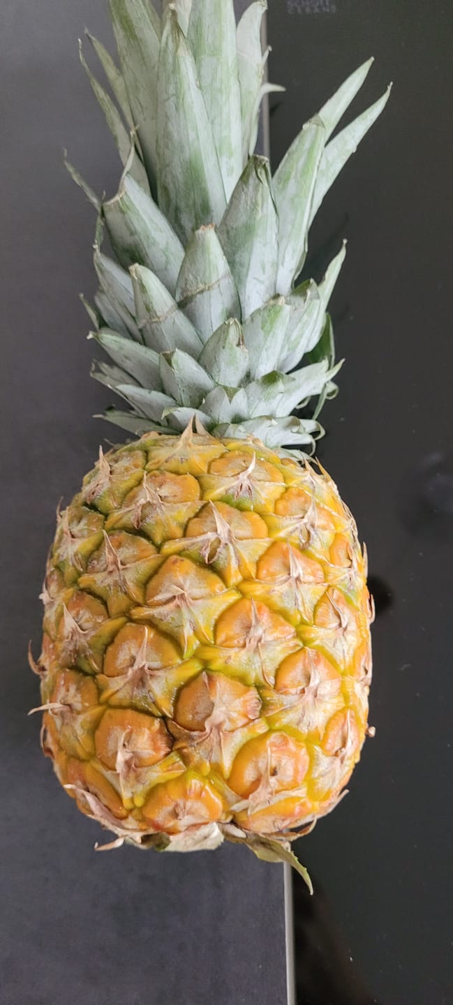 Customer photo review of Ananas Extra Sweet Bio