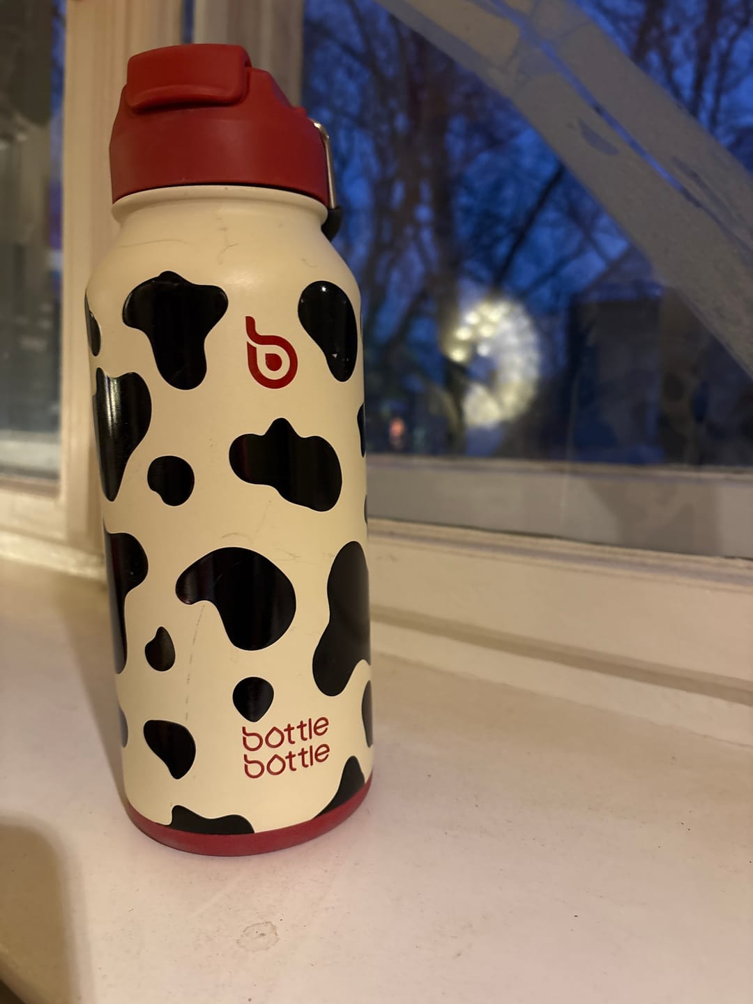 Customer photo review of Hydro X Bottle 32oz