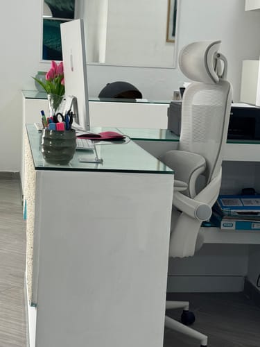 Customer photo review of Sihoo M102C Ergonomic Office Chair with Next-Level Lumbar Support