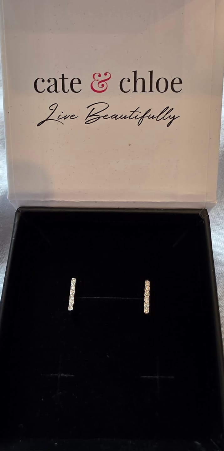 Customer photo review of Hayden 18k White Gold Plated Linear Stud Earrings with Swarovski Crystals