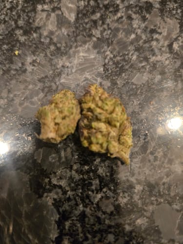 Customer photo review of White Runtz