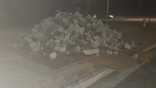 Customer photo review of Lemon Cherry Gelato - Minis - Indoor - 14 Grams - Hybrid