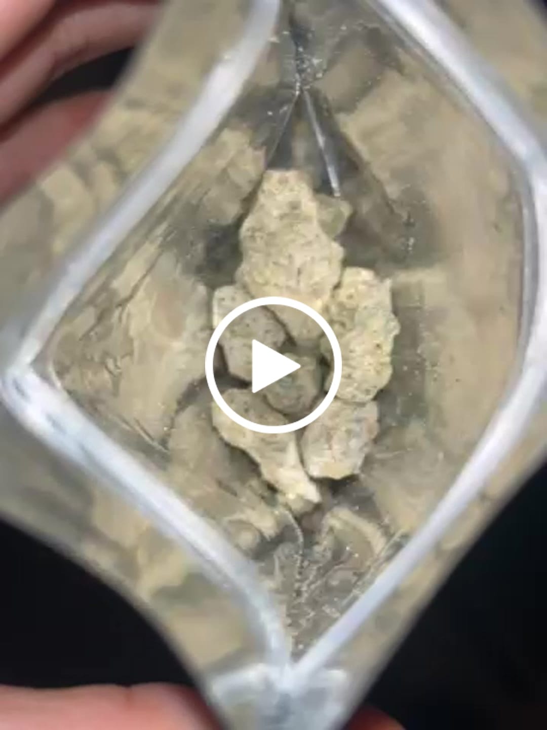 Customer video review of THCA Snowballs - 67% THCA