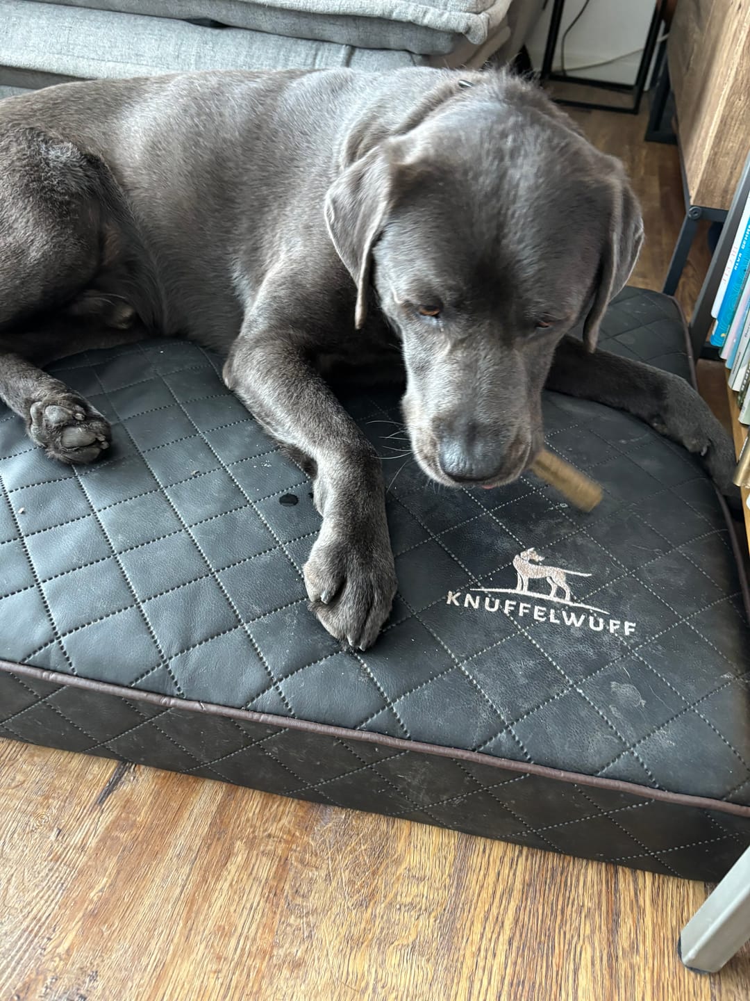 Customer photo review of Kräuter Dentals für Hunde zur Zahn- und Darmpflege (150g)