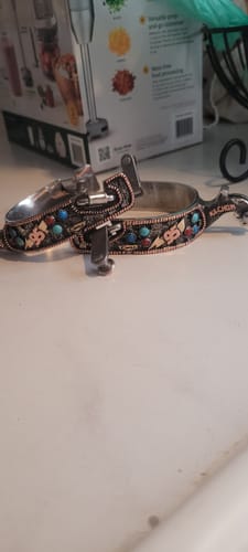 Customer photo review of Cars Cartoon Spurs