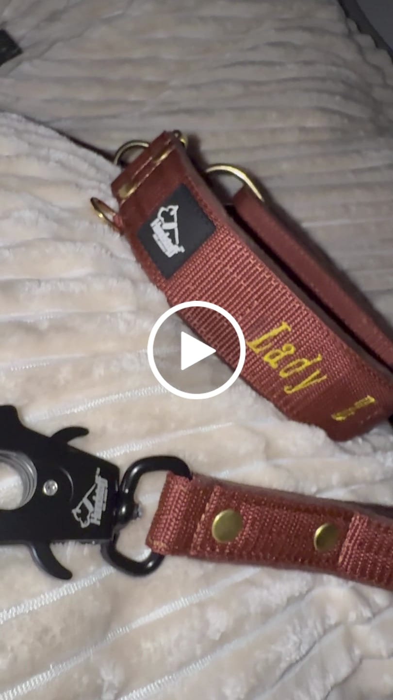 Customer video review of Martingale halsband med namn