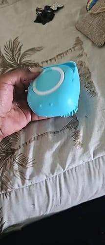 Customer photo review of A Gentle Clean Your Pet Will Actually Enjoy
SoftPaws™ Grooming Shampoo Brush