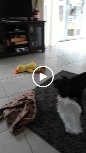 Customer video review of Premium - CleanyMat