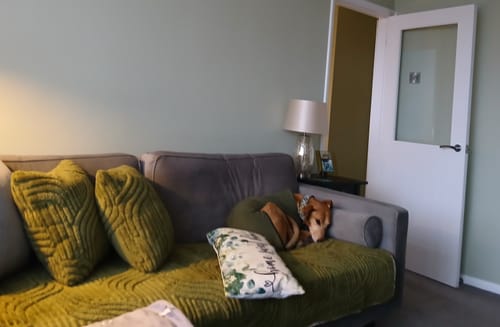 Customer photo review of Fleece Sighthound Base-Layer Coat with Underbelly and Snood