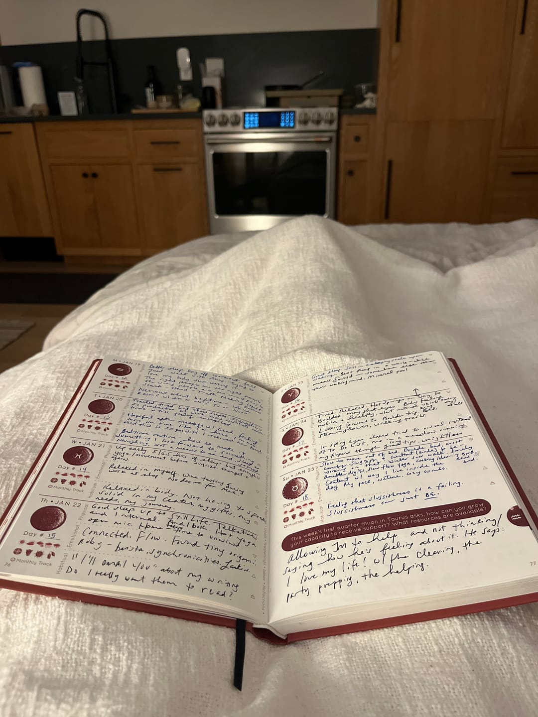 Customer photo review of Cycles Journal® 2026: Lunar Planner & Cycle Tracker for Whole-Body Awareness — more than just mental &/or menstrual health