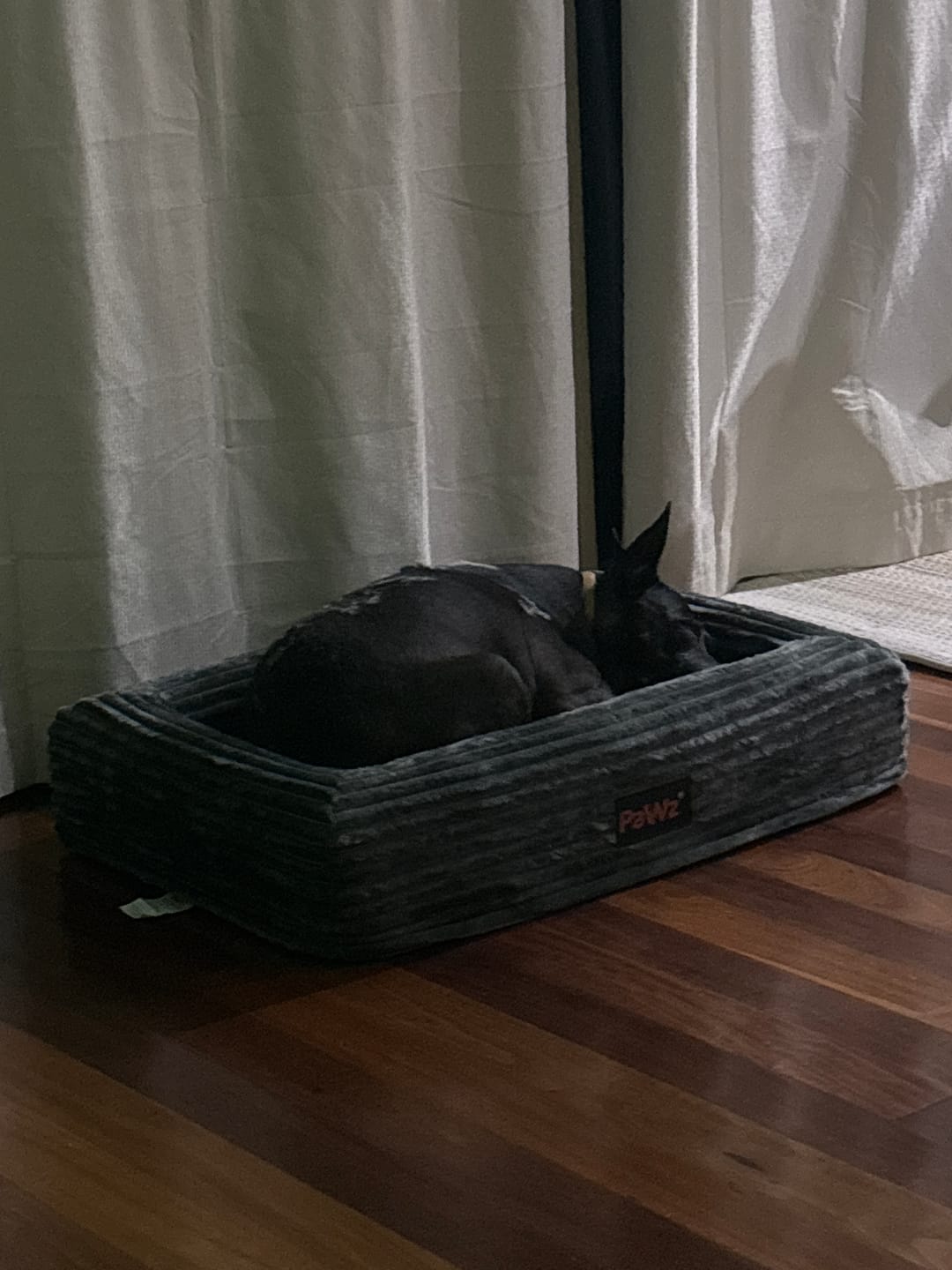 Customer photo review of Orthopaedic Dog Bed – Waterproof & Washable
