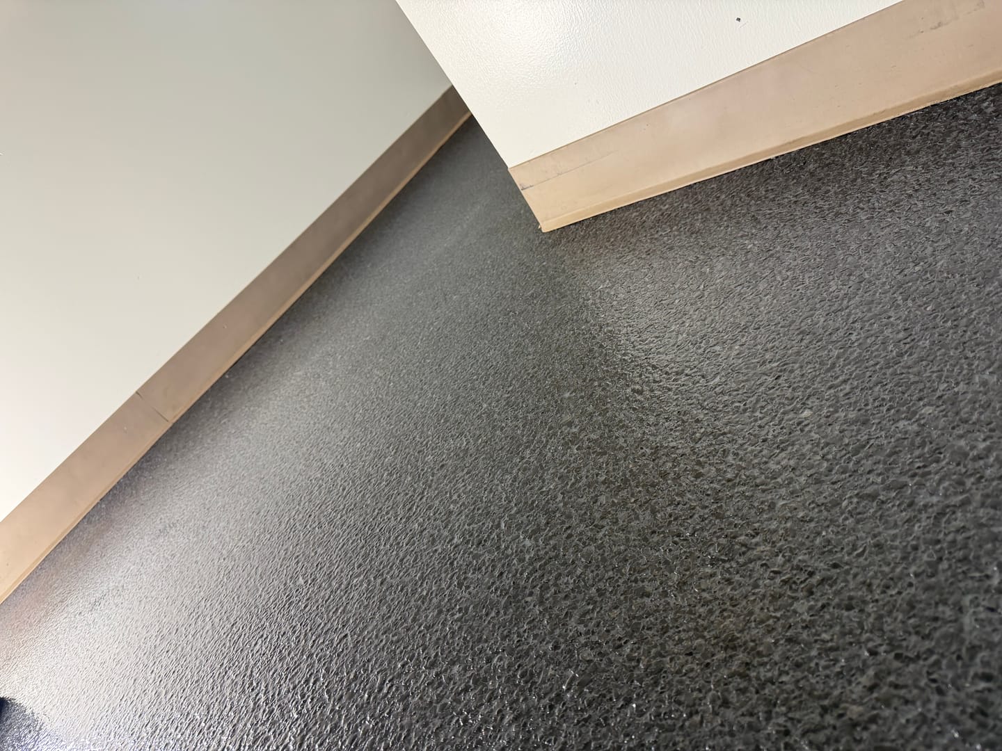 Customer photo review of Epoxy Floor Polymer Flakes - Torginol Collection