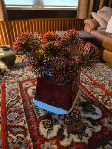 Recensents wijnrode Pique-Fleurs vaas, gevuld met stekelige bloemen, op een gedessineerd tapijt.