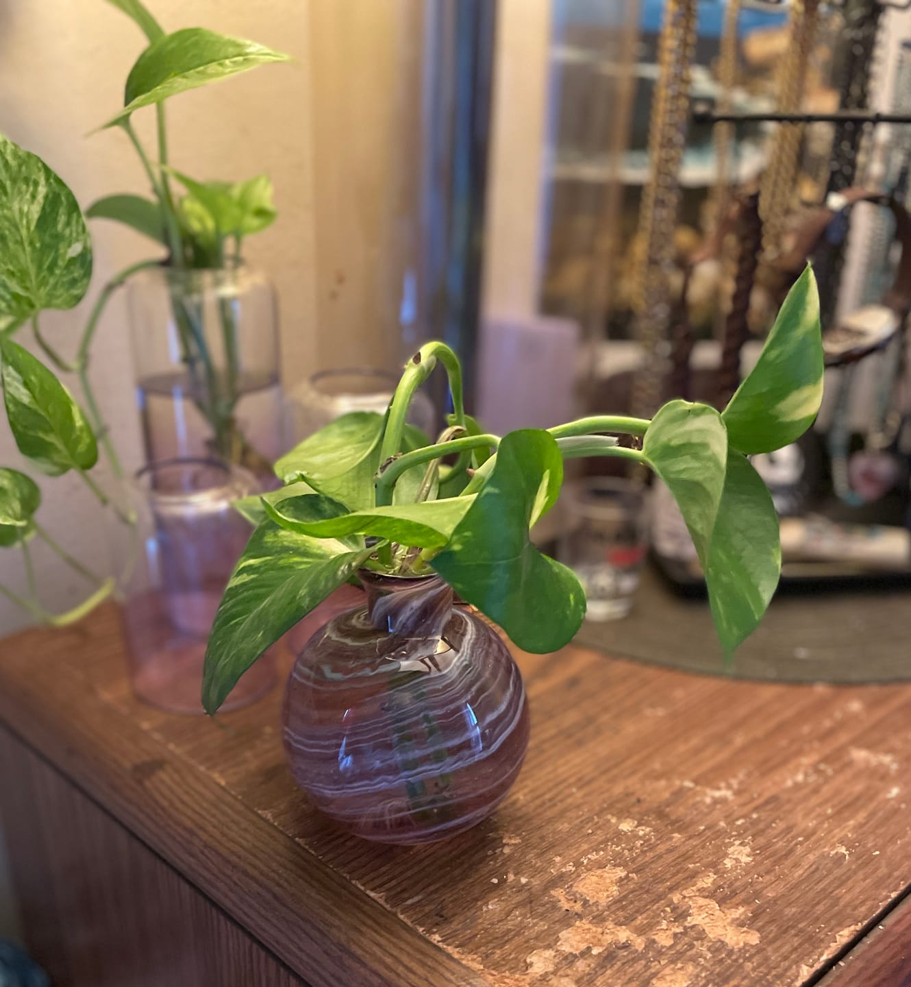 Customer photo review of Bud Vase with Cremation Ashes