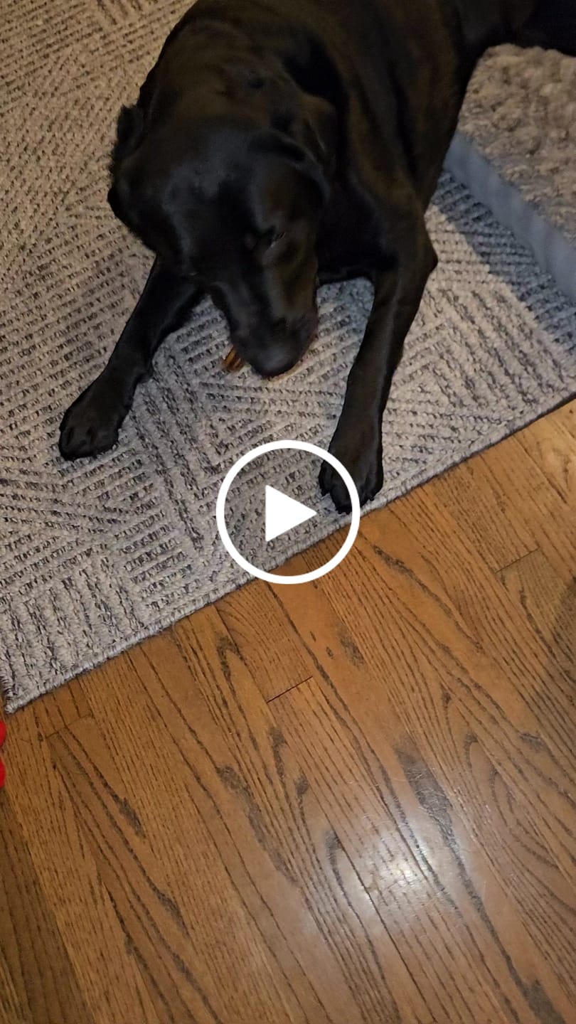 Customer video review of Hickory Smoked Bully Sticks
