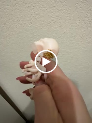 Customer video review of 3D Skeleton Charm - Tumbler Handle Charm