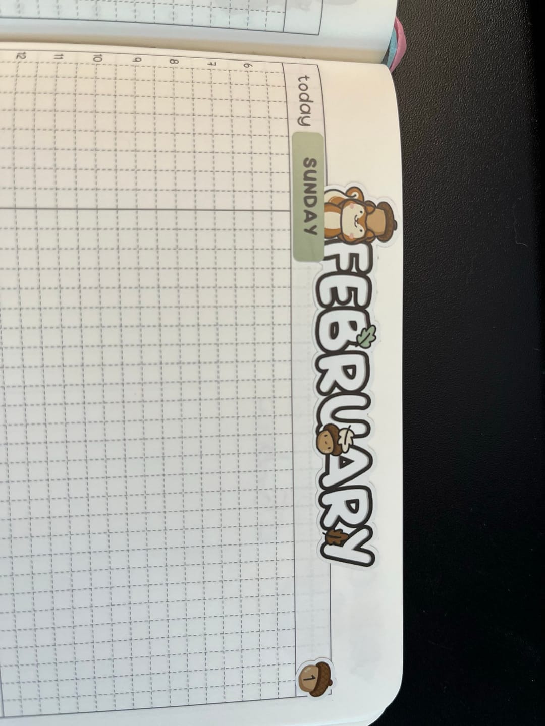 Customer photo review of Squirrelly Acorn Journal Pack